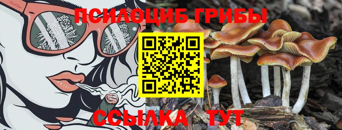 Галлюциногенные грибы Psilocybe  Вход с VPN  Учалы  продажа наркотиков  Галлюциногенные грибы GOLDEN TEACHER 